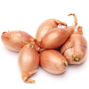 Cebula szalotka Golden Gourmet
