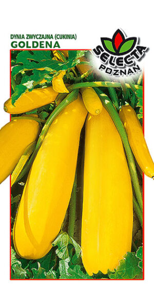 Dynia zw. Cukinia Goldena 2g