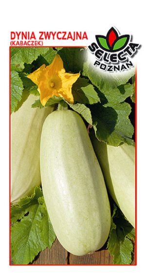 Dynia Kabaczek Złoty Cepelin 3g
