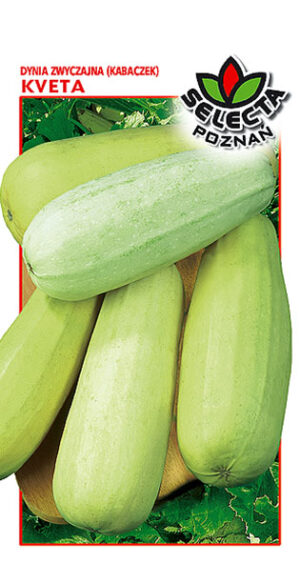 Dynia zw. Kabaczek Kveta 3g