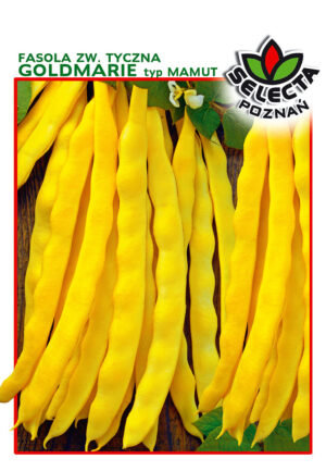 Fasola zw. Goldmarie (tyczna) 10g