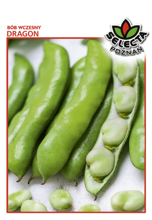 Bób Dragon (wczesny) 50g