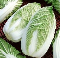 Kapusta pekińska Hilton 1g