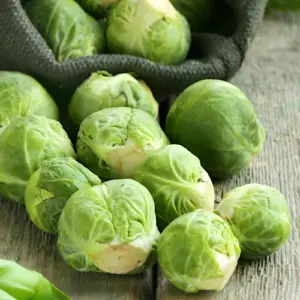 Kapusta brukselska Gröninger 1g