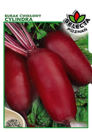 Burak Ćw. Cylindra 10g