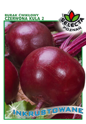 Burak Ćw. Czerwona Kula 2, INKRUST. 10g