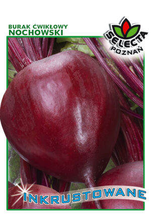 Burak Ćw. Nochowski INKRUST. 10g