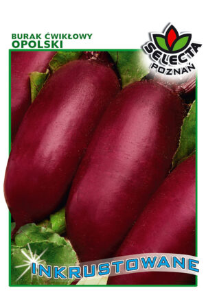 Burak Ćw. Opolski INKRUST. 10g