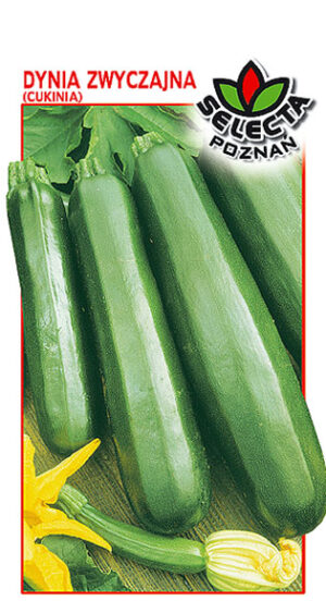 Dynia zw. Cukinia Astra Polka 2g