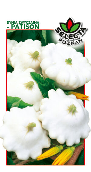 Dynia zw. Patison Custard White 4g