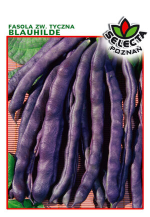 Fasola zw. Blauhilde (tyczna) 10g