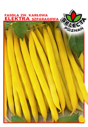 Fasola zw. Elektra 30g