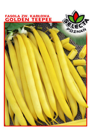 Fasola zw. Golden Teepee 30g