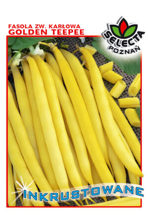 Fasola zw. Golden Teepee INKRUST. 30g