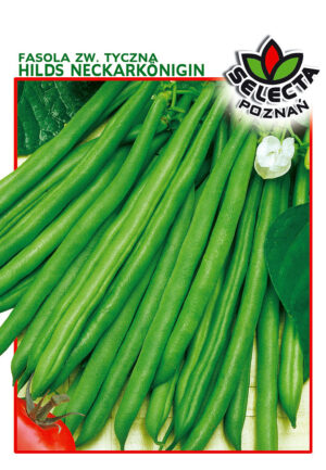 Fasola zw. Hilds Neckarkönigin (tyczna) 10g