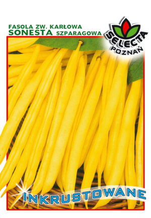 Fasola zw. Sonesta INKRUST. 30g