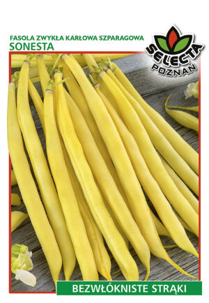 Fasola zw. Sonesta 30g