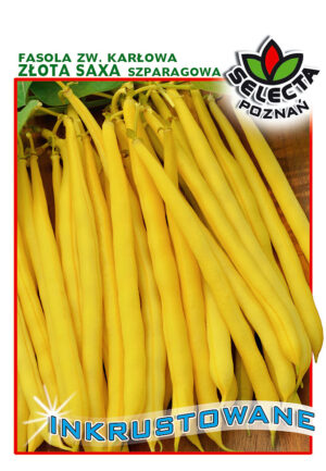 Fasola zw. Złota Saxa INKRUST. 30g