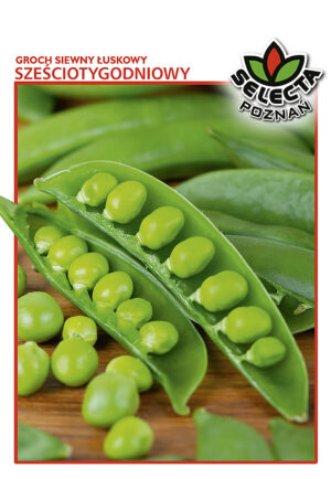 Groch łuskowy Sześciotygodniowy 50g