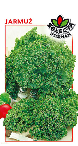 Jarmuż Dwarf Green Curled 1g