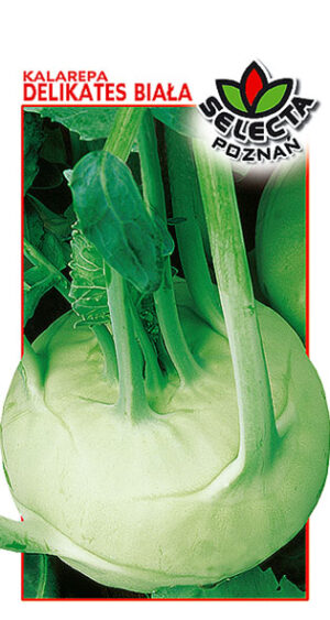 Kalarepa Delikates Biała1g