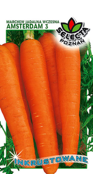 Marchew Amsterdam III INKRUST. 5g