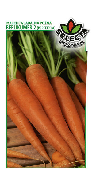 Marchew Berlikumer II 5g
