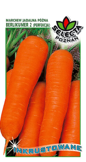 Marchew Berlikumer II INKRUST. 5g