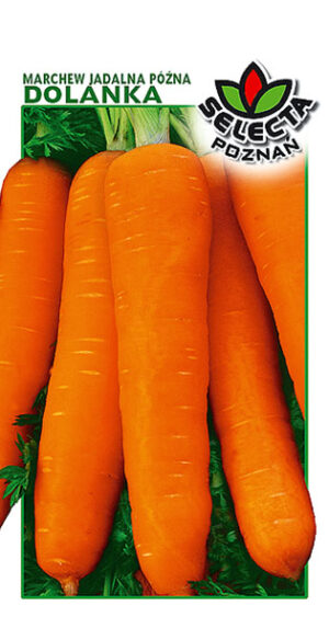 Marchew Dolanka 5g