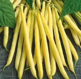 Fasola zw. Maxidor 30g